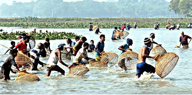 পলো বাইছ উৎসব