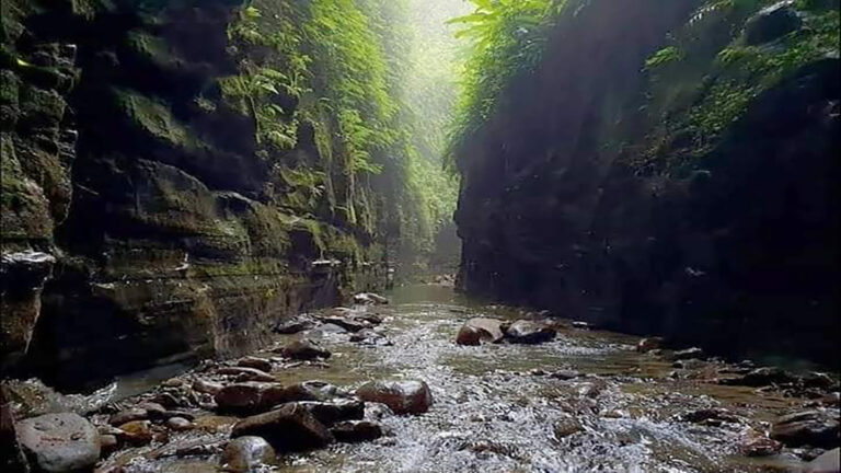 আলীর গুহা বা আলীর সুড়ঙ্গ