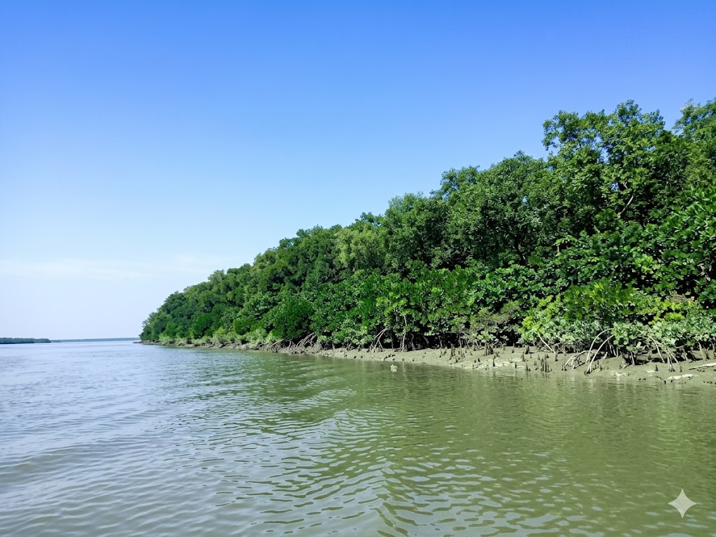 হাতিয়া দ্বীপের প্রাকৃতিক সৌন্দর্য